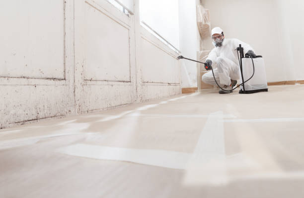 24/7 Emergency Basement Mold Remediation experts in Harrisburg, PA